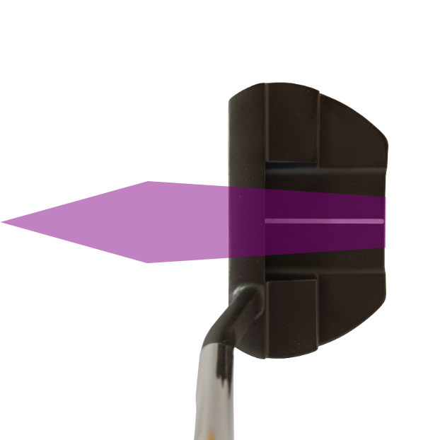 skull black mallet putter true line